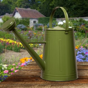 Watering Can