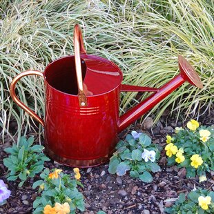 Watering Can