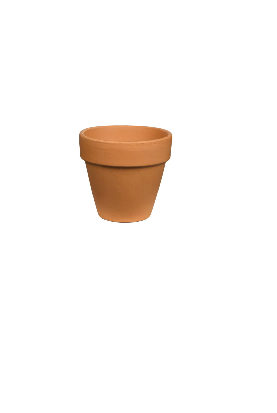 Clay Plant Pot